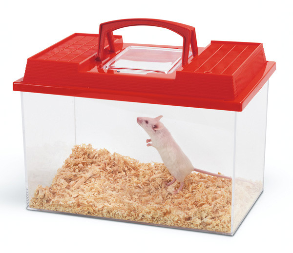 Террариум-переноска Savic Fauna Box, для грызунов и рептилий купить Киев, Харьков, Днепропетровск, Одесса.