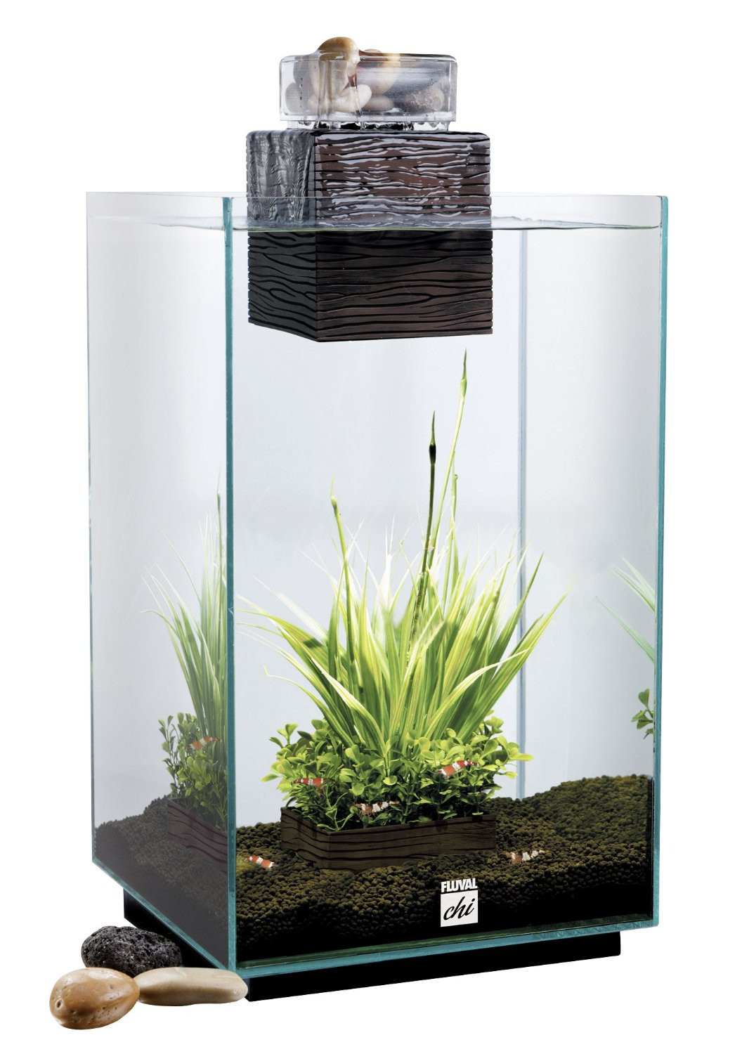 Aqua fashion fish tank Aqua fashion fish tank