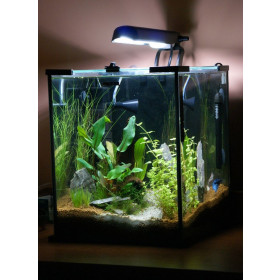 Аквариумный комплект для креветок AquaEL Shrimp Set 20 LED фото