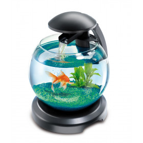 Tetra Cascade Globe - круглый аквариум для рыб фото