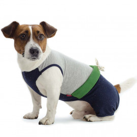 Костюм для собак Pet Fashion Фитнес авокадо фото