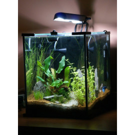 Аквариумный комплект для креветок AquaEL Shrimp Set 20 LED