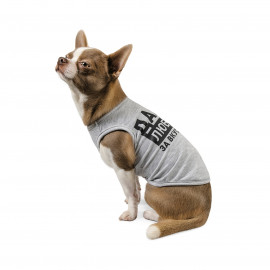 Борцовка Pet Fashion  life - my rules  для собак меланж