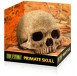 Exo Terra Primate Skull - декорация череп человека. фото